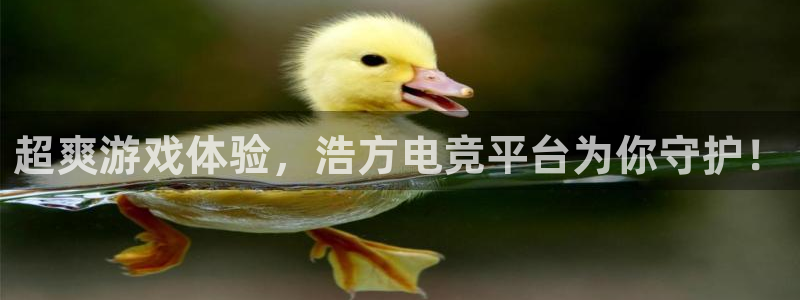 米兰电竞游戏：超爽游戏体验，浩方电竞平台为你守护！