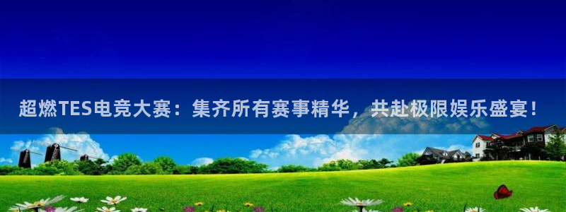 米兰电竞登录入口：超燃TES电竞大赛：集齐所有赛事精华，共赴极限娱乐盛宴！