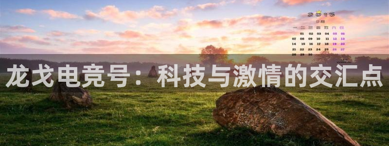 米兰电竞官网下载：龙戈电竞号：科技与激情的交汇点