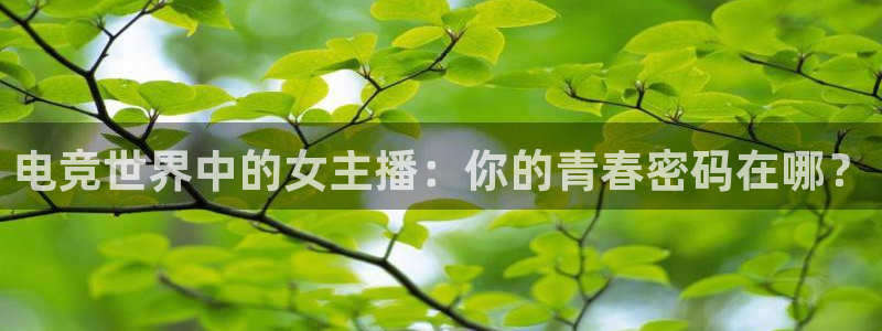 米兰电竞官网